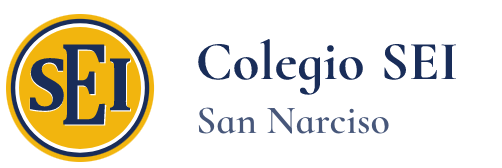 Aula Virtual SEI San Narciso